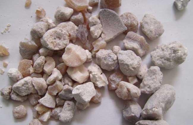 生活小常识:天竺黄的功效与作用