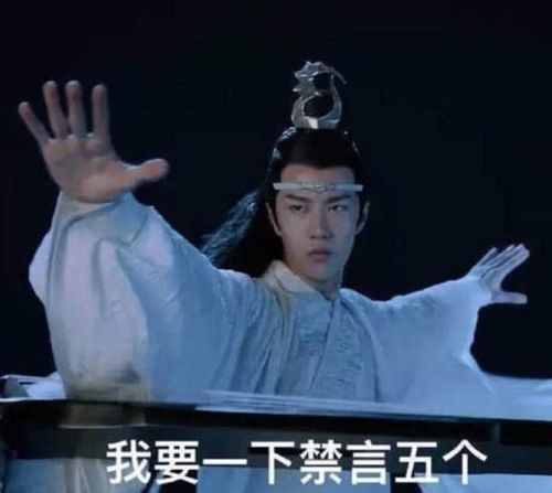 陈情令,表情包,魏无羡,蓝湛