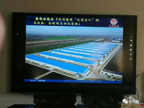 看看身边那些百万蛋鸡场代表,环境如何?