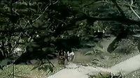 [罗锐绝版忍者功夫片]鬼面忍者-电影-高清完整正版