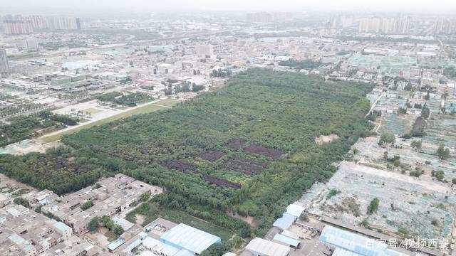 秦阿房宫前殿遗址现状(3)空中航拍于2020年