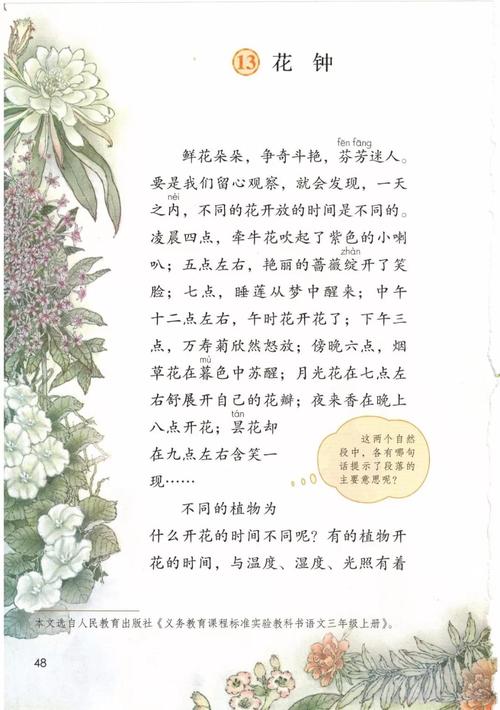 部编版三年级下册第13课花钟知识点