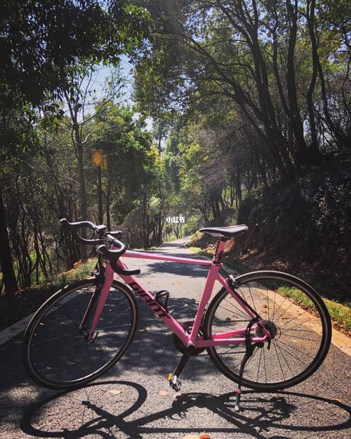 公路车美照～_骑车_公路车_出行_出行其他