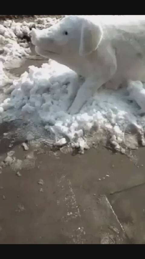 堆雪人还是得看美院#雪人看过了,来看看雪猪吧一木视频的微博视频