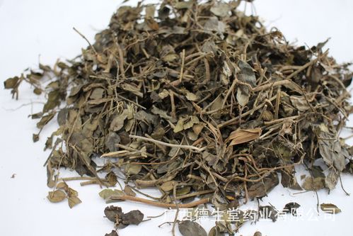 绣花针 产地直销 中药 中药材 中药批发