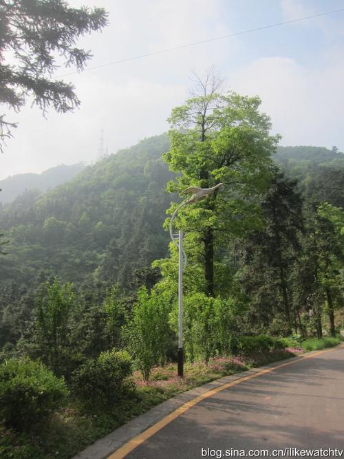 【怀化】慢跑的好地方(中坡山后山)