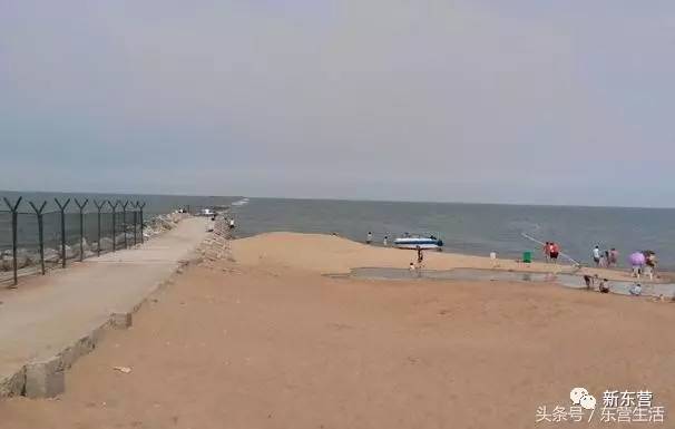 东营海边大全最全攻略在这里