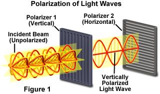 light waves typically vibr
