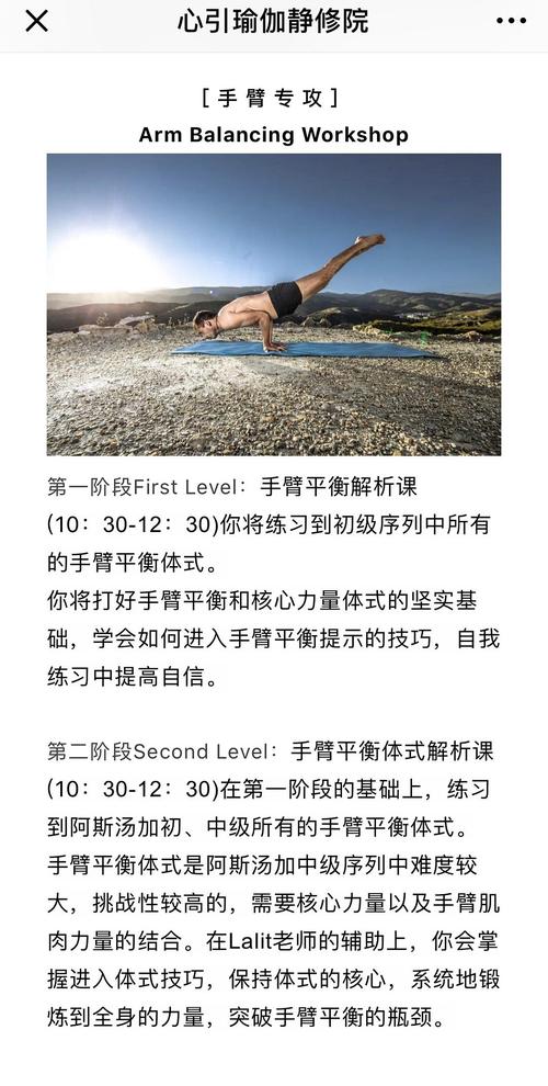 帕塔比·乔伊斯 sri krishna pattabhi jois