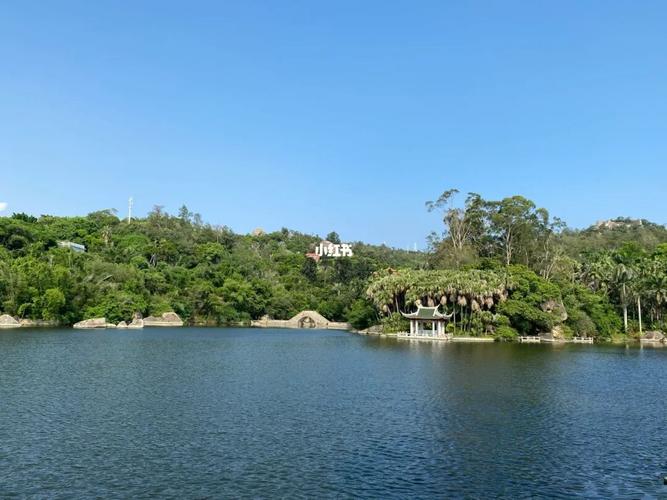 厦门植物园旅游攻略|拍照真的超美_植物园_旅游攻略_厦门园林植物园