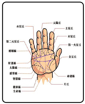 最详细的男人手相图解大全:手相图解大全男左手太阳线