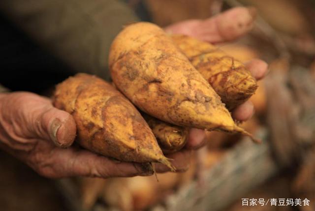 又到一年吃笋季你知道春笋和冬笋有什么区别买错了难吃还费钱
