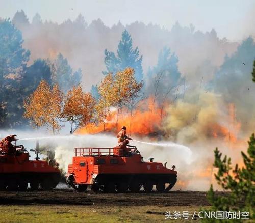 武警森林部队转制:他们时刻向党和人民作出响亮的回答!