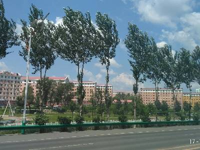 黑龙江省鹤岗市兴安区兴安路街道济世堂医药am11:43:51 拍摄 2017-7-3
