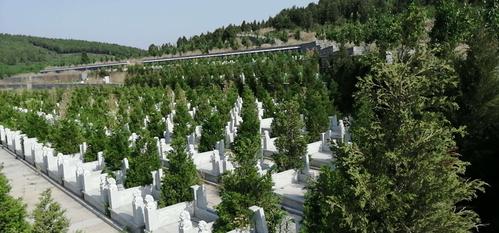 山东济南市平阴县《卧龙山公墓》 股权转让