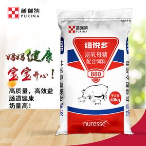 母猪全价饲料