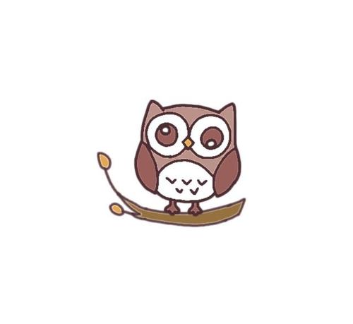 5幅图画1只q萌简笔画猫头鹰——象征智慧的动物