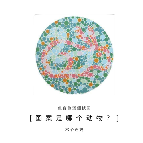 测试10: 答案解析:上图中是数字6.5.2.绿色有问题的不能看到.