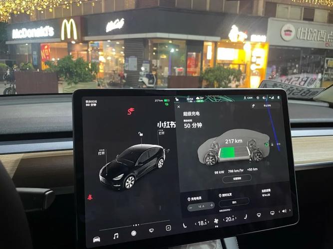 特斯拉model y 提车一个月之后._特斯拉怎么样_提车
