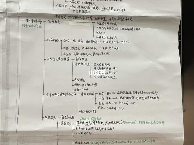 内护 呼吸系统思维导图(二)_思维导图_高考_教育_教育