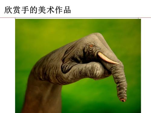 一年级美术手形添画.ppt.ppt