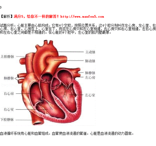 心脏在血液循环系统中的作用是( )