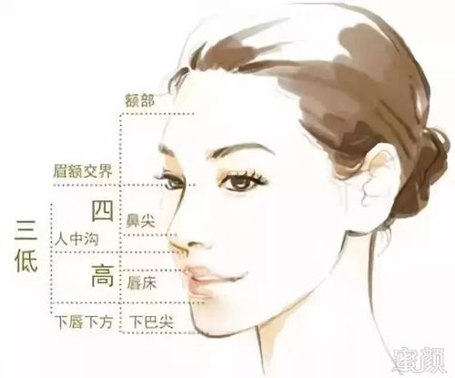 下面部1/3呈现v(瓜子)或u(鹅蛋)脸, 有弧度,柔美,符合三庭五眼标准