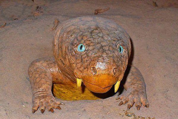 原创泥盆纪10大最恐怖的生物,第一地球史上最凶猛,第六现在还存活着