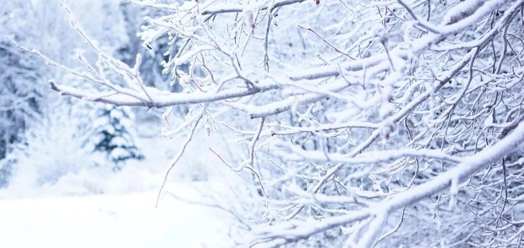 求雪无望?两种"好吃"的雪景给你"解馋"