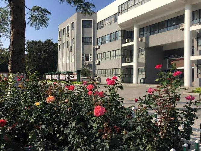 深圳市光明新区高级中学全员助力创建文明城市活动集锦光高校歌版