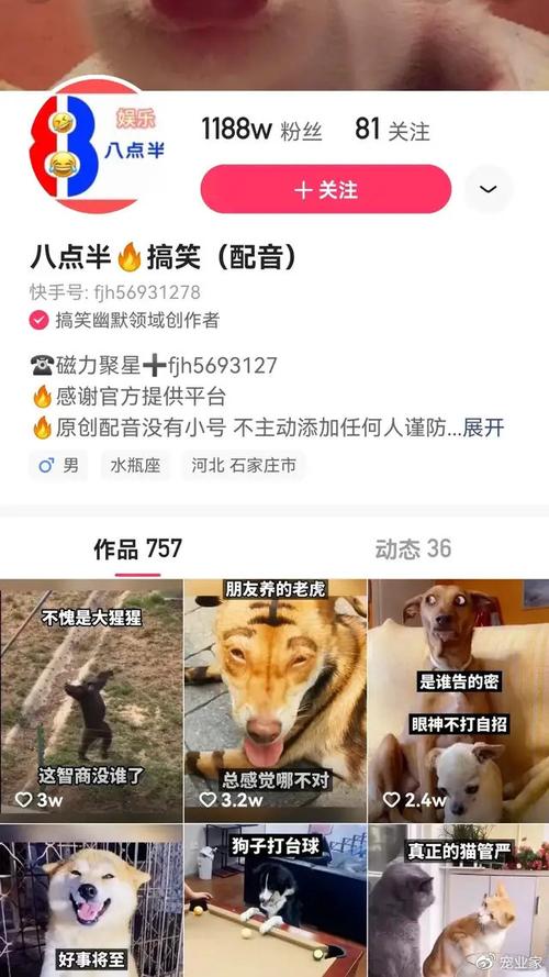 新增的千万级宠物kol分别为:金毛路虎,八点半搞笑(配音),飞狗moco