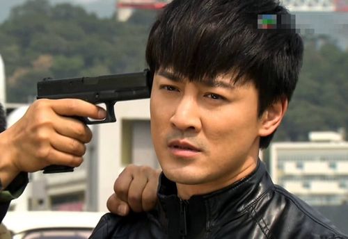 林峰,使徒行者3,tvb,张柏芝,佘诗曼