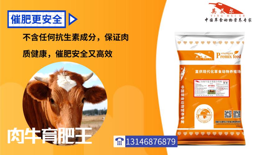 成功养牛必看 育肥牛饲料配方表 育肥牛饲料配方计算 酒糟育肥牛的