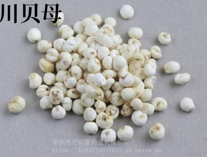 正宗川贝母多少钱 川贝母全国供应