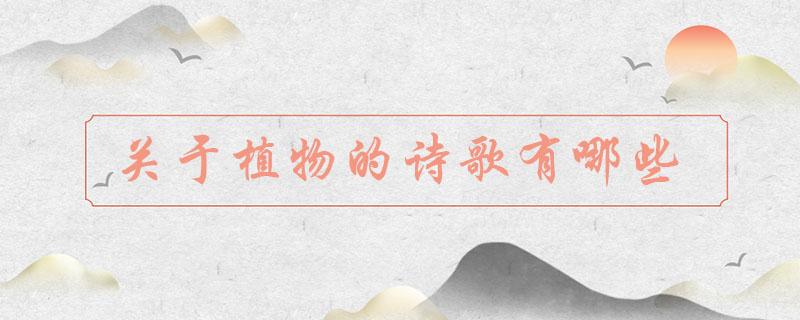 关于植物的诗歌有哪些关于植物的现代小诗