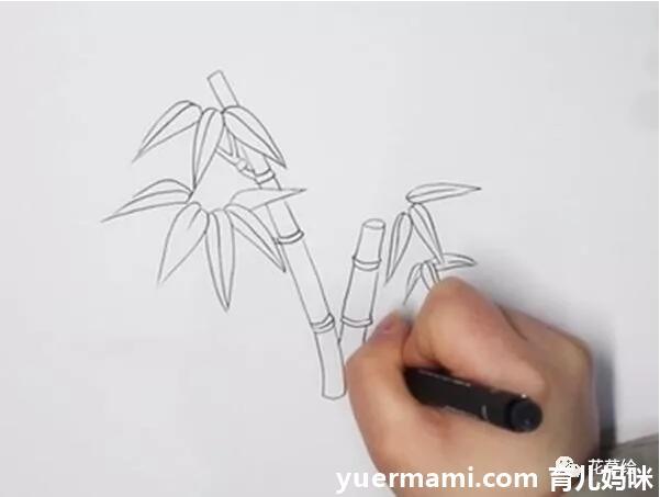 竹子简笔画的画法教程图片