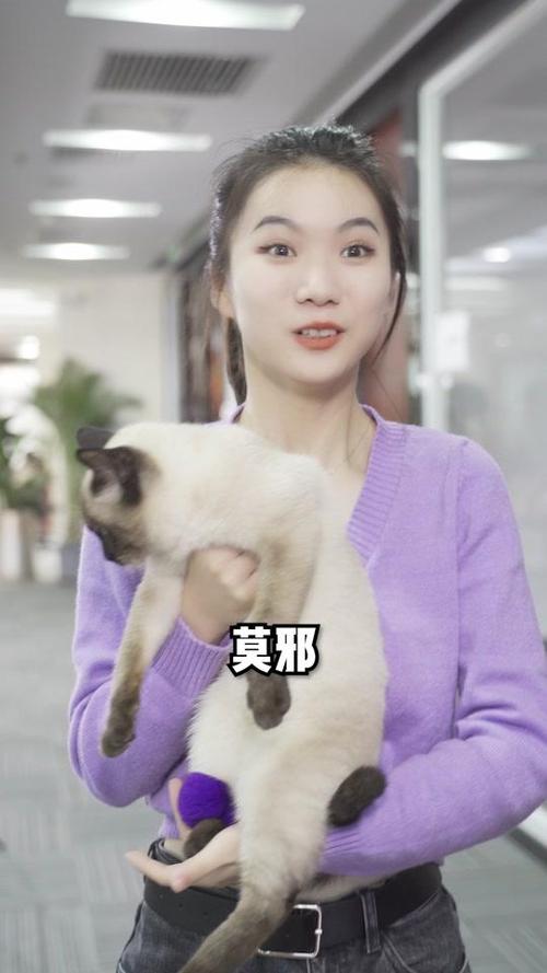 视频合集点击进入莫邪抖音主页抖音id号:9510889抖音名字:莫邪快蔵dd