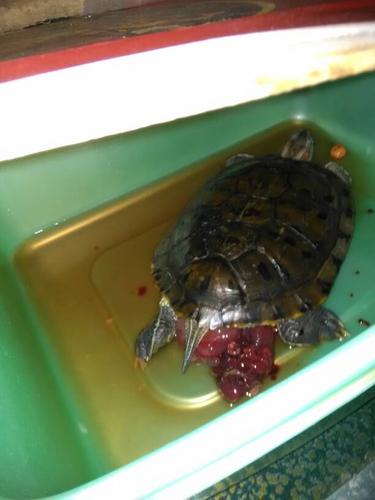 很担心它!谢谢!