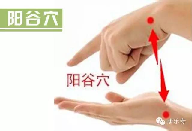 位置 阳谷穴位于手腕尺侧,尺骨茎突与三角骨之间的凹陷处,即手掌侧面