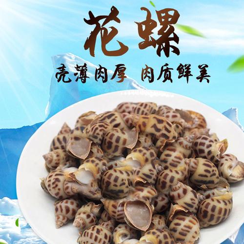花螺鲜活图片_花螺鲜活大全/细节图 - 搜好货网海量
