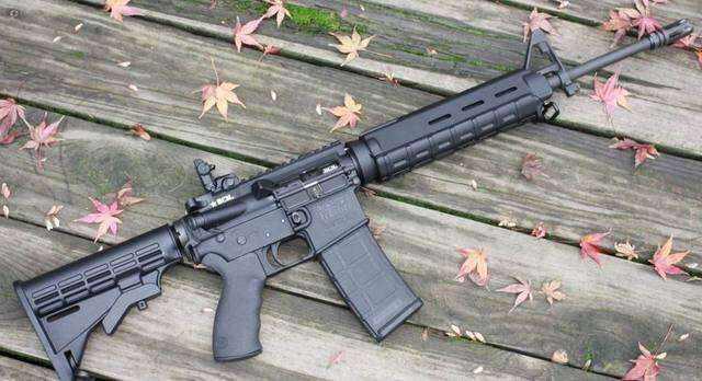 中国步枪排行,没想到,第一名居然是它._手机搜狐网