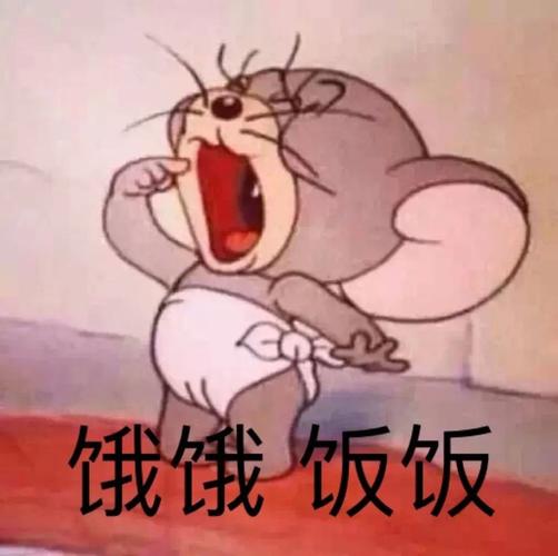 表情包猫和老鼠汤姆杰瑞系列②