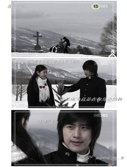 关于"天国的树"