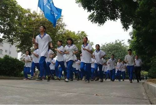 乐从中学我的青春在这