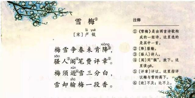 梅须逊雪三分白,雪却输梅一段香,快来听梁老师讲古诗《雪梅》