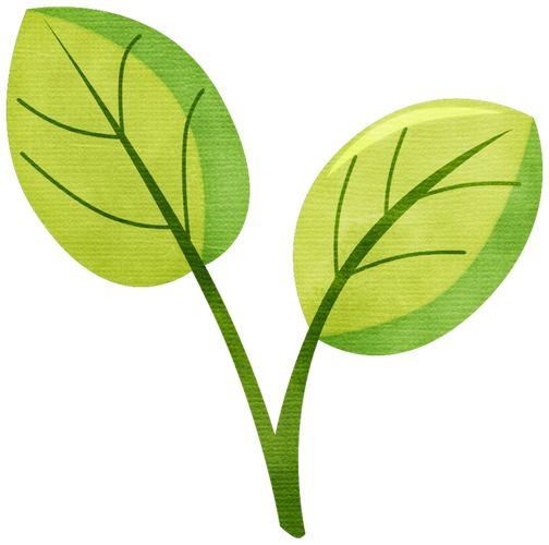 卡通叶子图片大全