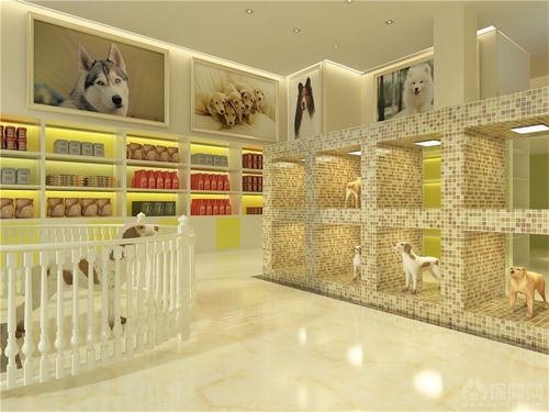 宠物店设计