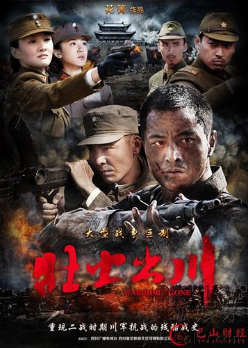 电视剧《壮士出川》海报