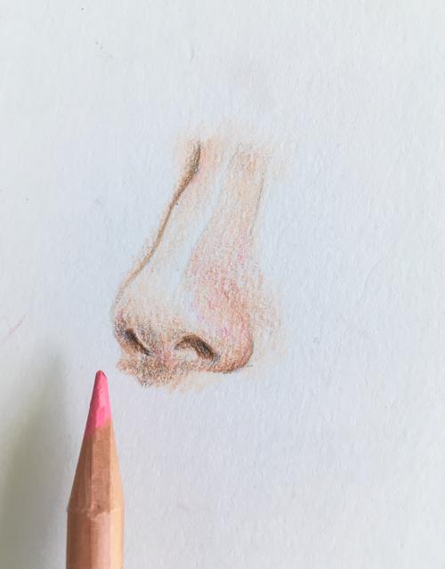 用橘色彩铅将鼻子整体提亮,丰富鼻子的颜色,尤其能够使暗面不那么单一