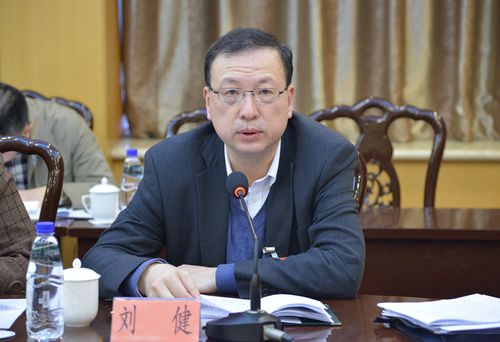 刘健代表审议发言